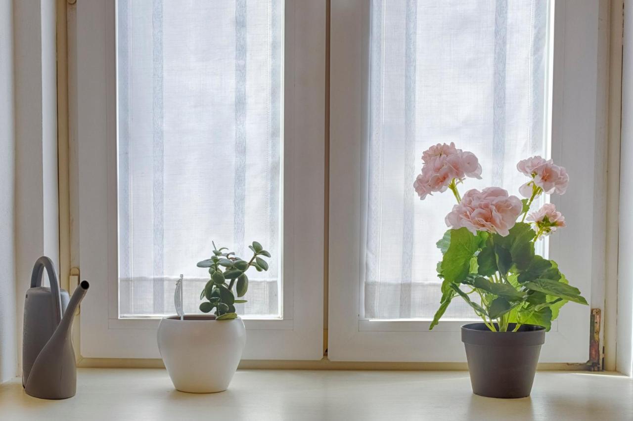 Mihaela Apartment - Charme Near The Station Trieste Luaran gambar